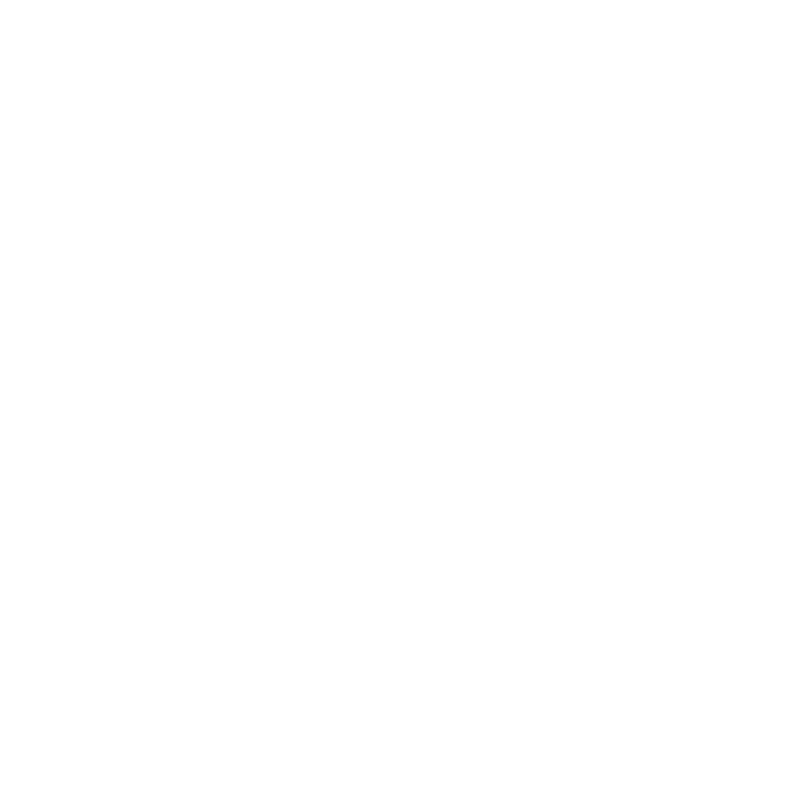 Fly Manager